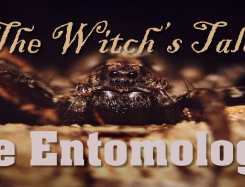 The Entomologist by The Witch’s Tale
