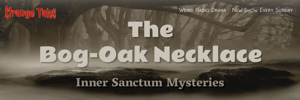 the bog-oak necklace by inner sanctum mysteries