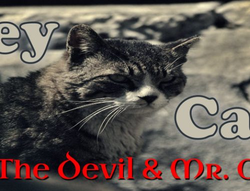 Alley Cat by The Devil And Mr. O