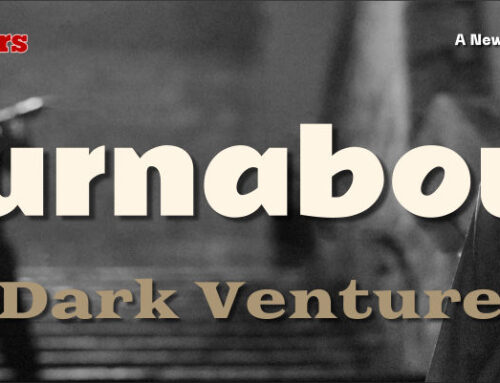 Turnabout by Dark Venture