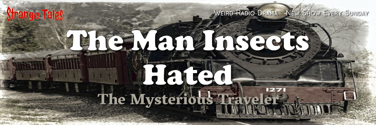 the man the insects hated by the mysterious traveler
